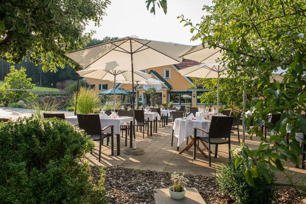 Hotel Restaurant Grune Au เพิลเลา ภายนอก รูปภาพ